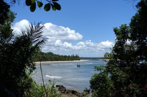 DSC09348